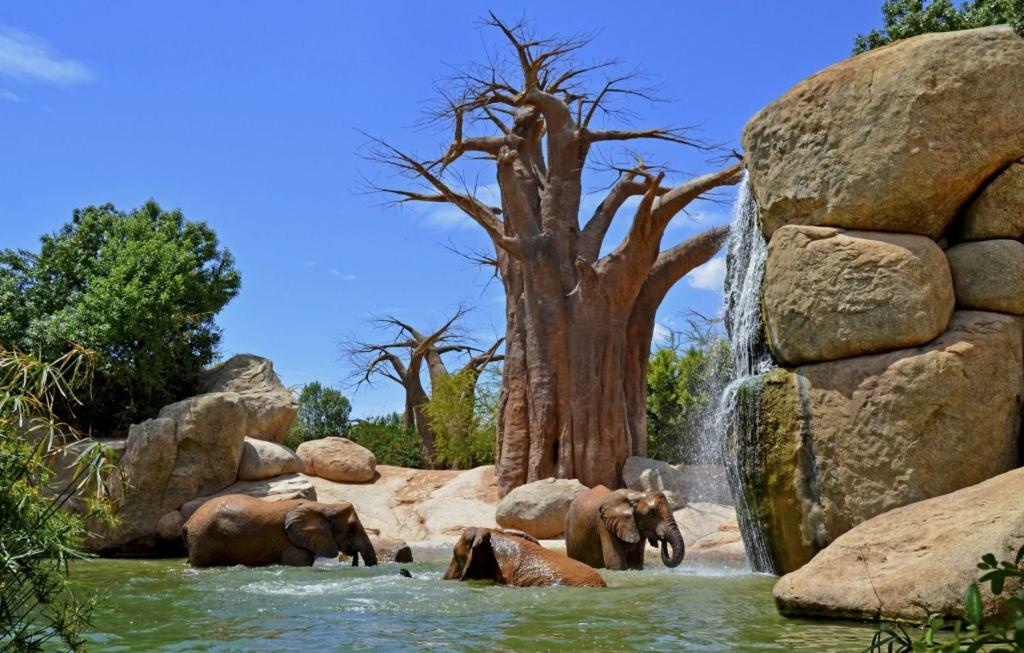 Bioparc Metro Valencia Daire Dış mekan fotoğraf
