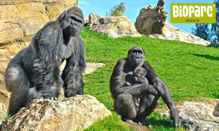 Bioparc Metro Valencia Daire Dış mekan fotoğraf